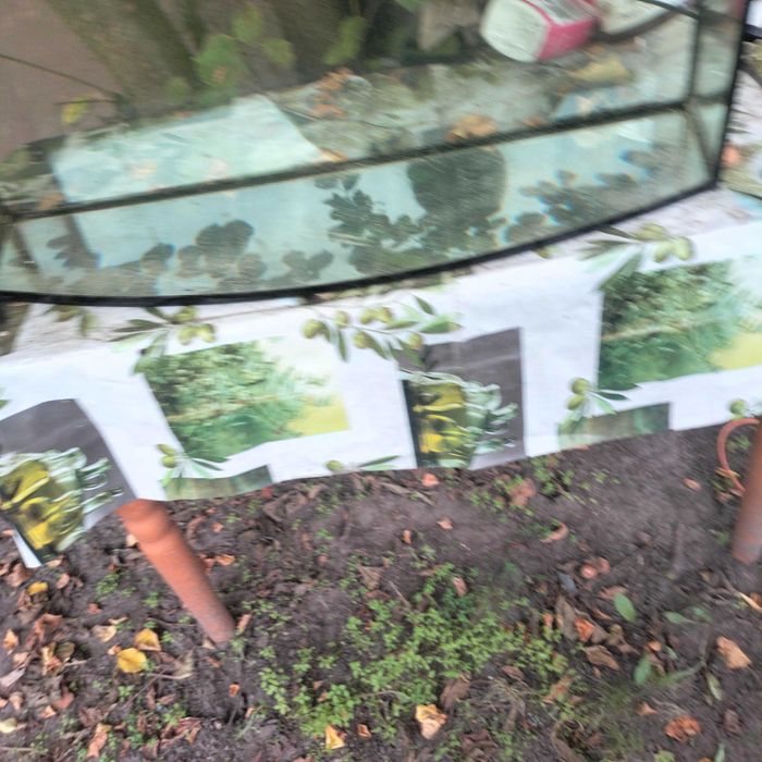Akwarium panoramiczne 100 l