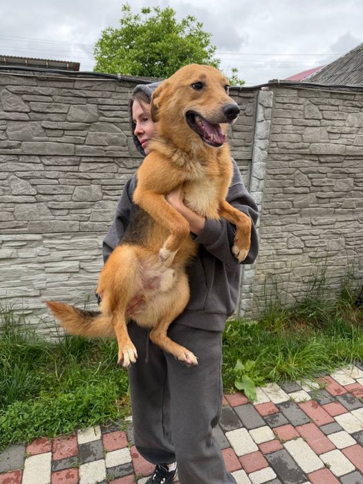 Роні , три роки шукє родину