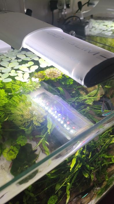 Lampa Aquael  10W