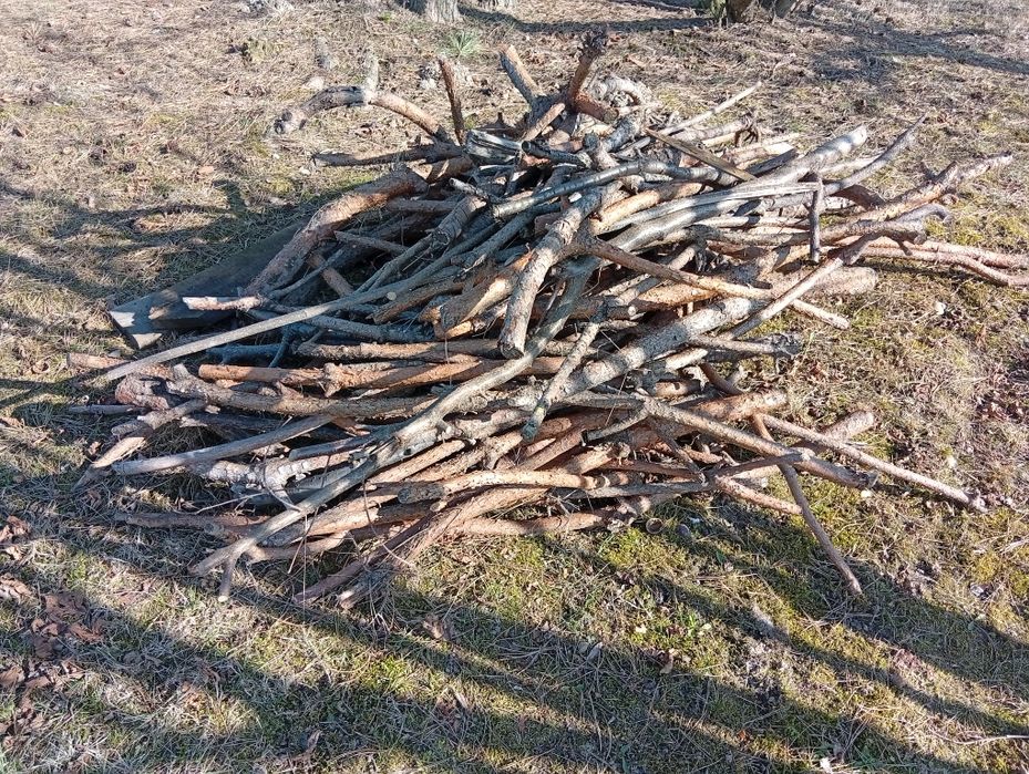 Oddam drewno opałowe