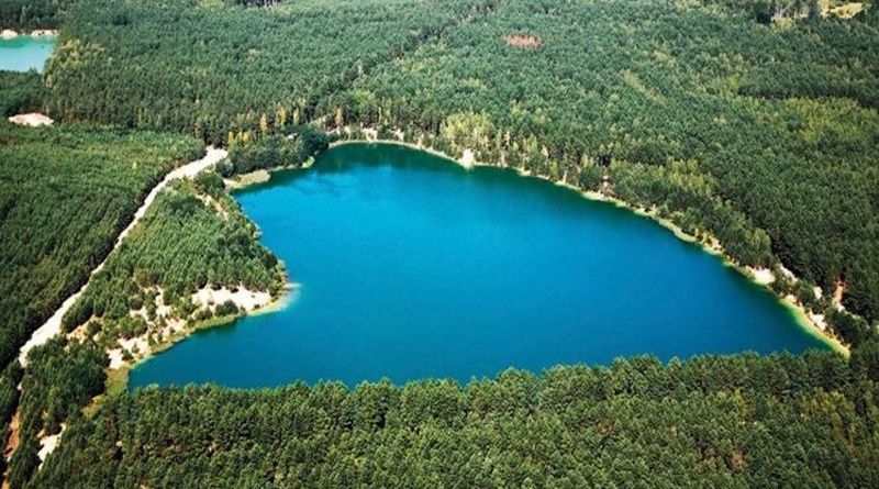 Участок у озера, в лесу. Олешня.Голубые озёра.
