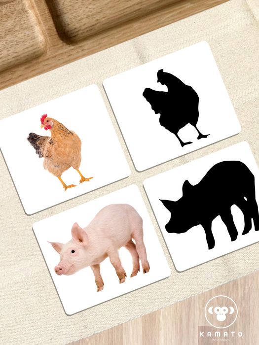 [22] Cartões | Sombras | Montessori | Quinta