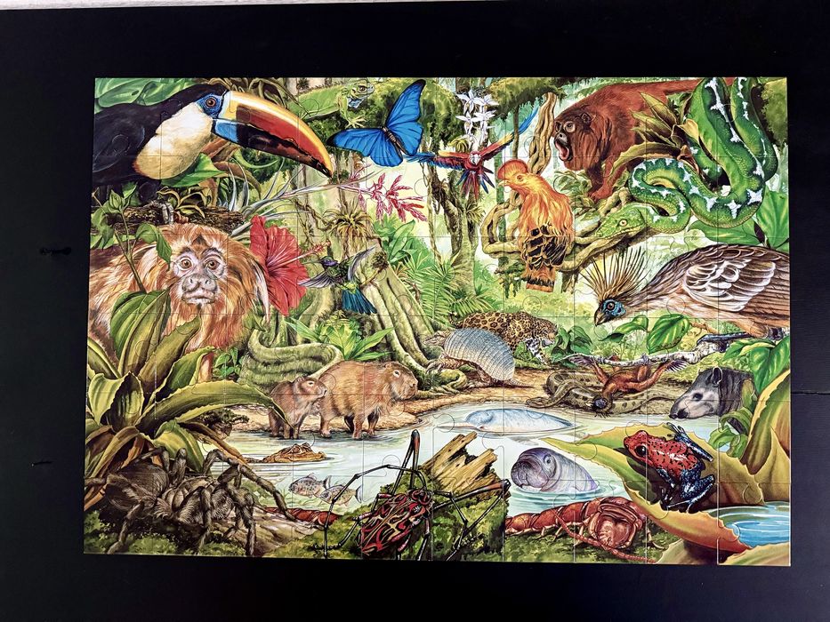 пазл, ELC, Rainforest, 60 деталей, тропический лес, 28 живот