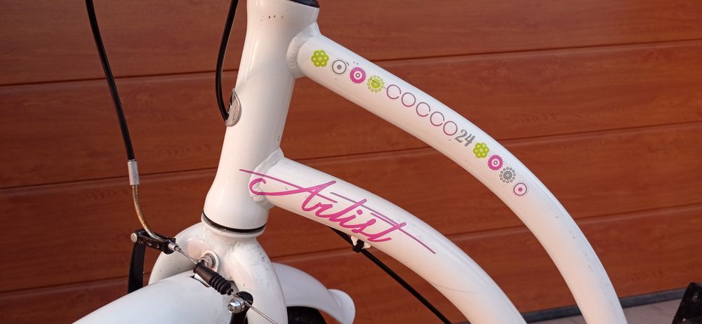 Rower Medano artist cocco 24"