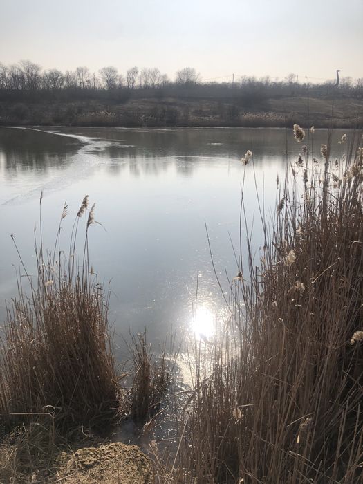 Дом по адресу ул. Мира(Ленина) (площадь 306 м²) - Atlanta.ua - фото 2