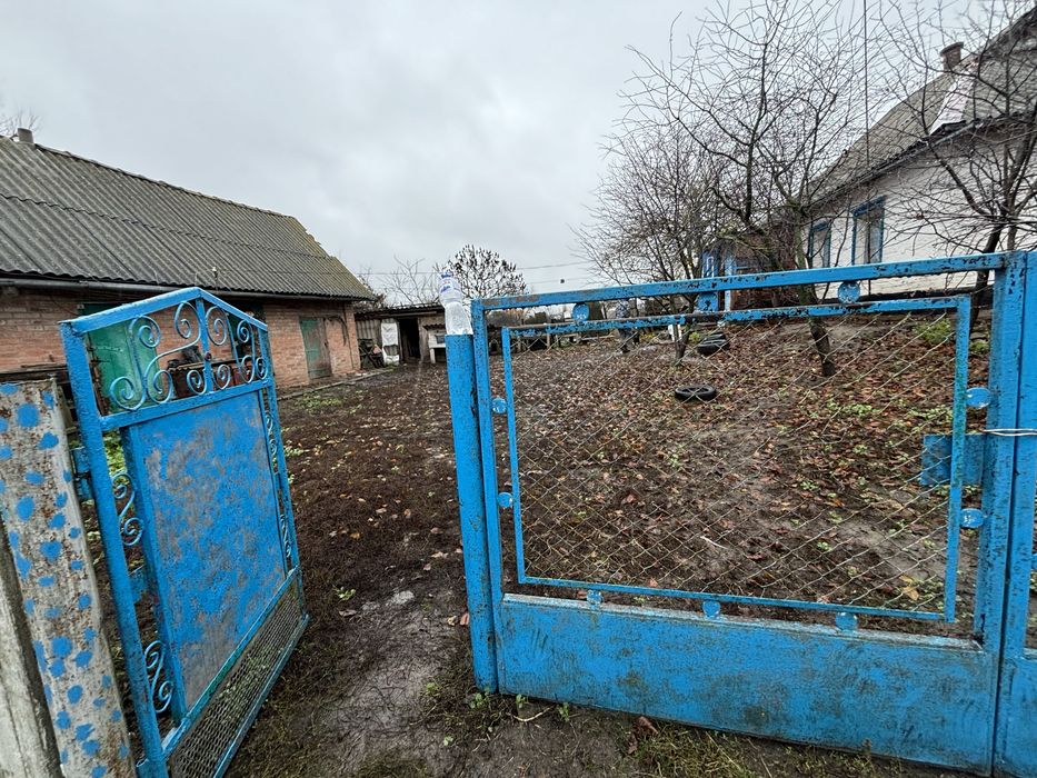 Хата в селі Мацківці , Лубенського району.