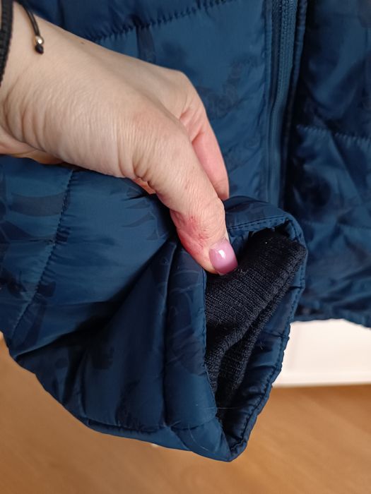 Kurtka zimowa coccodrillo z dinozaurami