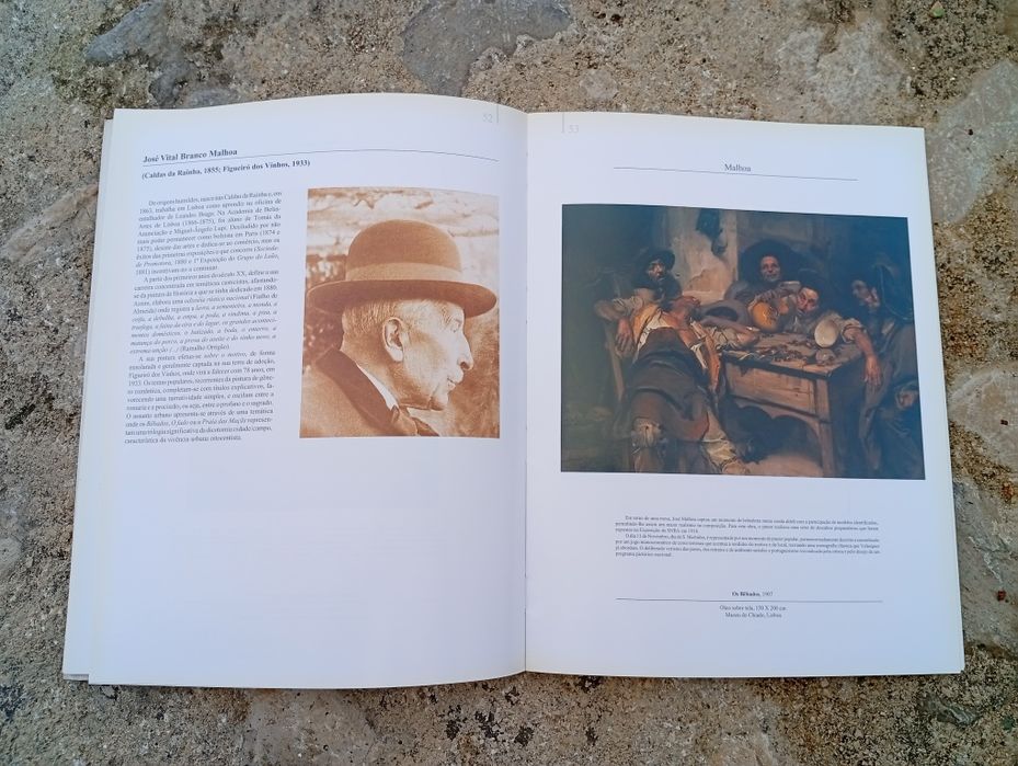 Livro A Pintura – O Grupo do Leão e o Naturalismo Português.