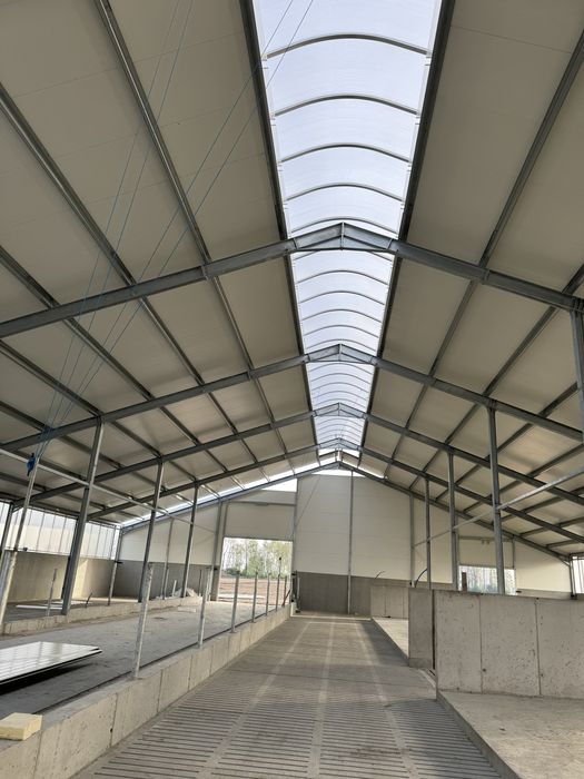 Świetlik kurtyny oborowe