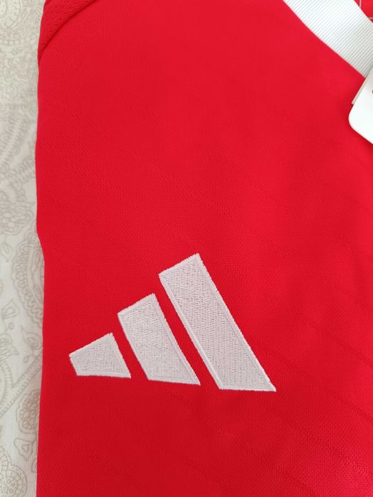 Camisola principal Benfica 24/25