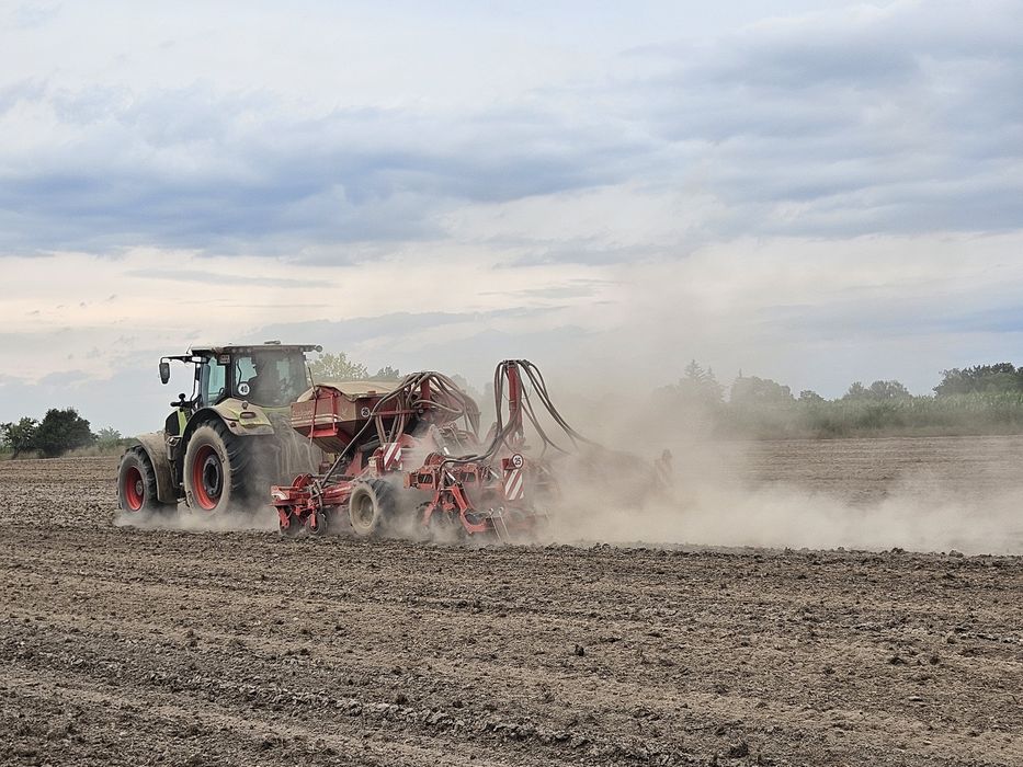 Siew kukurydzy, zbóż,rzepaku  uprawa pasowa strip till