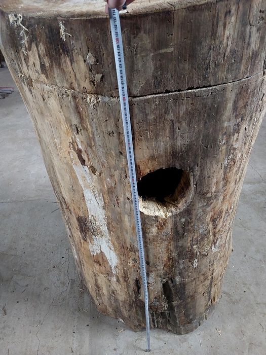 Buda legowa, kaczki, ary, kakadu, amazonki.