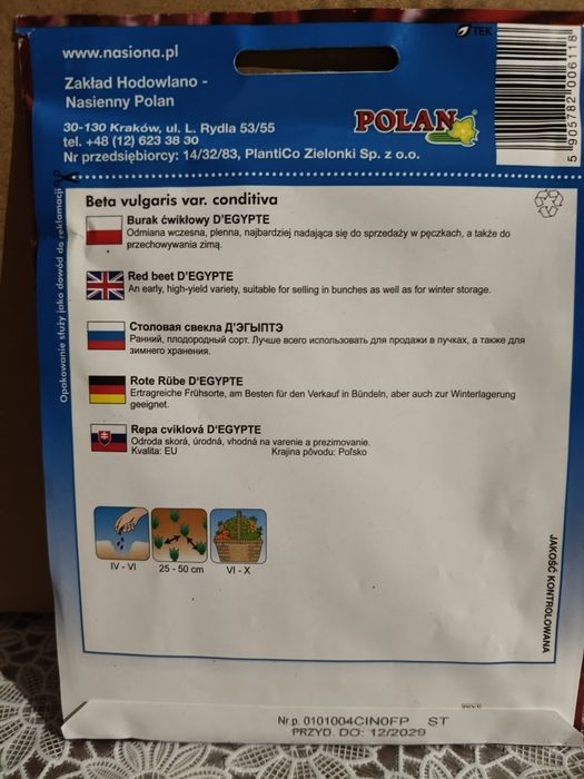 Burak ćwikłowy D'Egypte