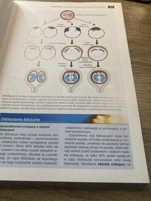 Embriologia Langman, wydanie XIII, książka w stanie doskonałym