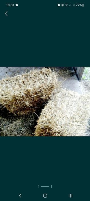 Sloma kostka pszenżytnia Świeza