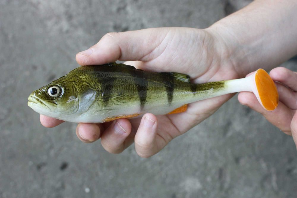 Анатомічні силіконові приманки (від 700грн. доставка НП безкоштовна)