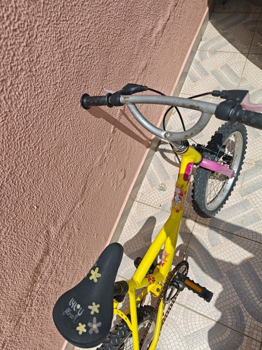 Bicicleta da roda 16