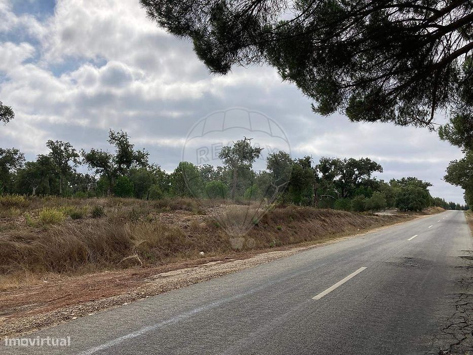 Terreno  para venda — São Domingos E Vale De Água, Setúbal