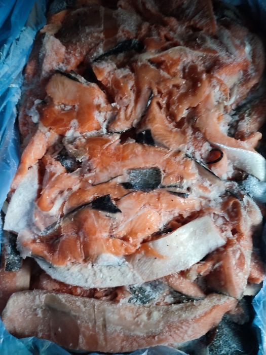 Лосось підшкірне/філе /куски/спинки  Норвегія