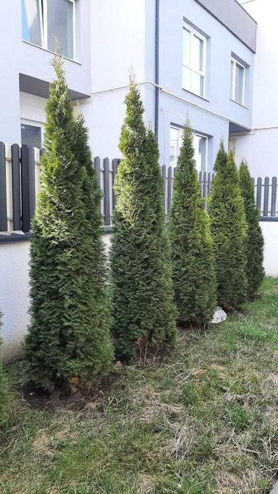 Продаж котеджу з ремонтом! Сокільники Львів!