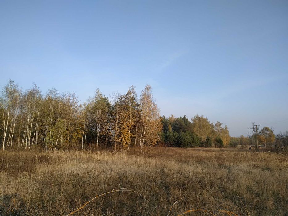 Продам ділянку 20 соток під забудову біля лісу с. Жукин