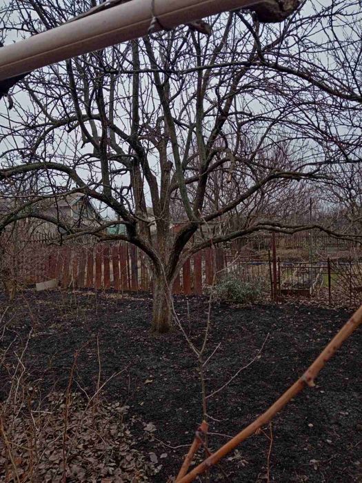 Продаю садовотческое общество Західне