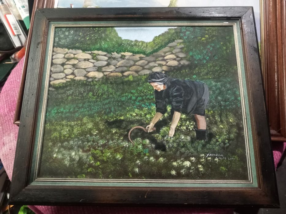 Pack quadros a óleo