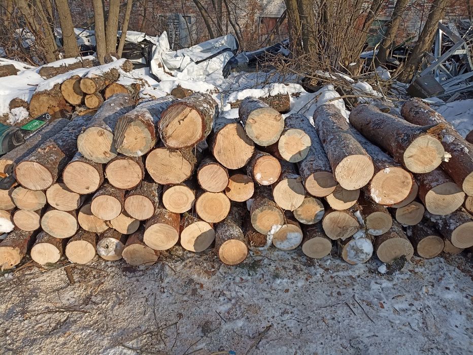 Продам дрова метровка