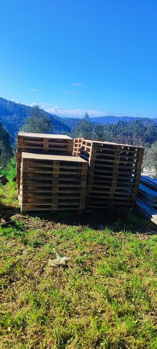 Pallets de Madeira