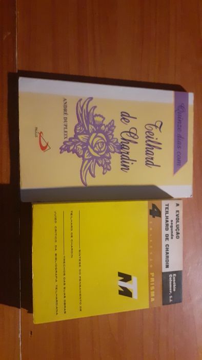 Nietzshe / Schopenhaur/ Rosseau /Teilhard Chardin