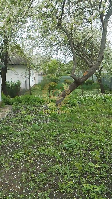 Продам будинок у Денихівці, 3 кімнати