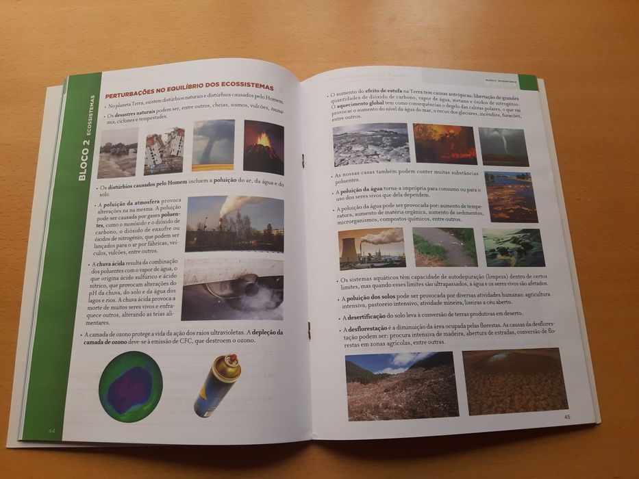 Ciência naturais 8 carderno actividades