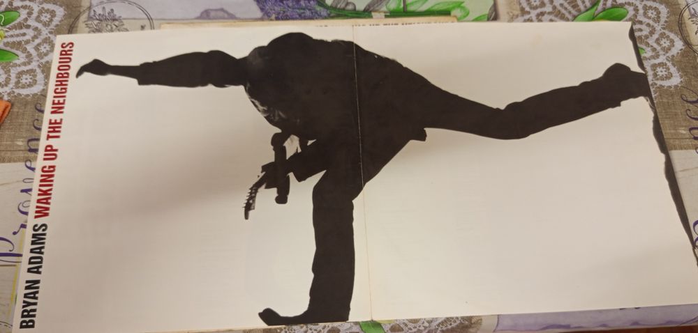 Discos de vinil Bryan Adams