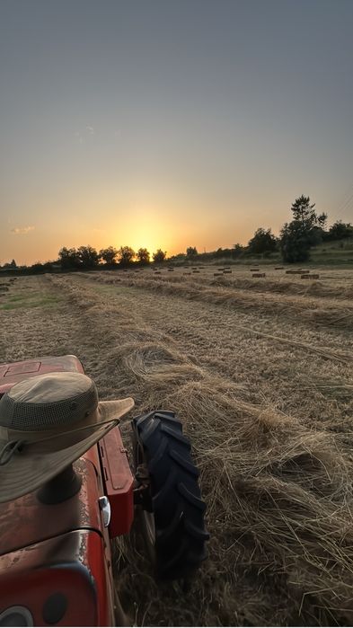 Fardos de palha nascedissa