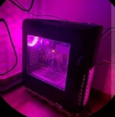 Pc gamer para desfrutar