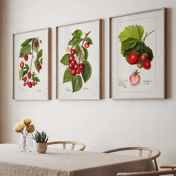 Zestaw plakatów 3x 40x50 cm Owoce Retro (set11)