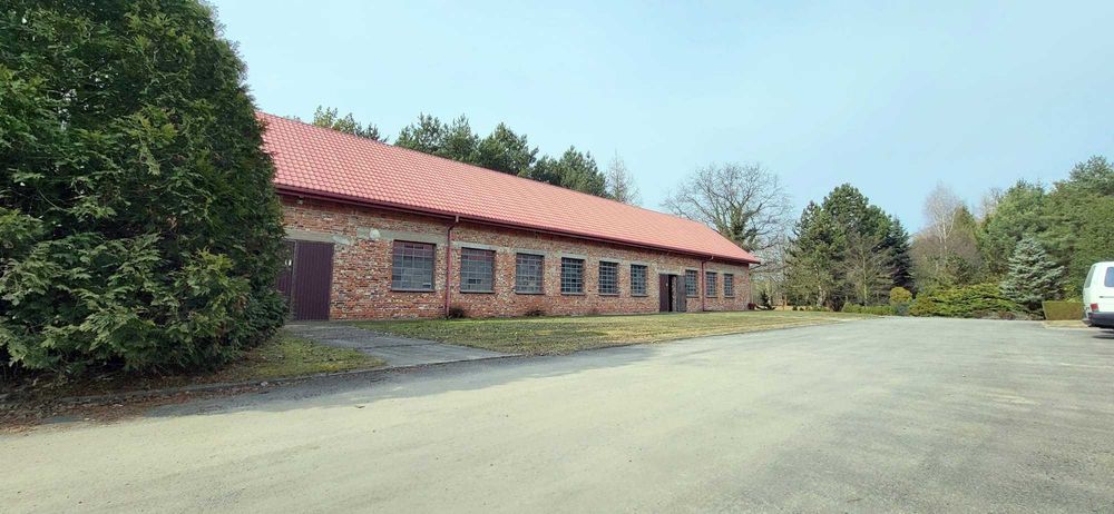 Magazyn 400m_Hala_Produkcja_ Zajączków_Działka 1123m