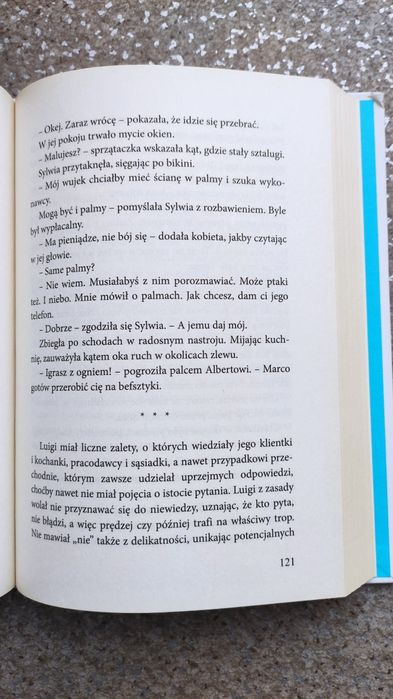 Z punktu widzenia kota Anna Onichimowska romans komedia kryminał