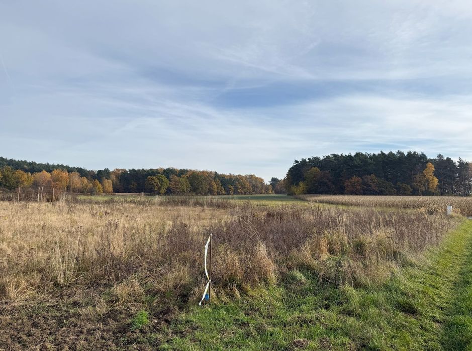 Działka budowlana Zawonia