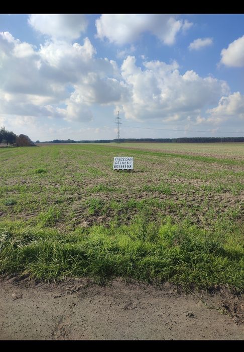 Działki budowlane okolice Leszna Długie Stare