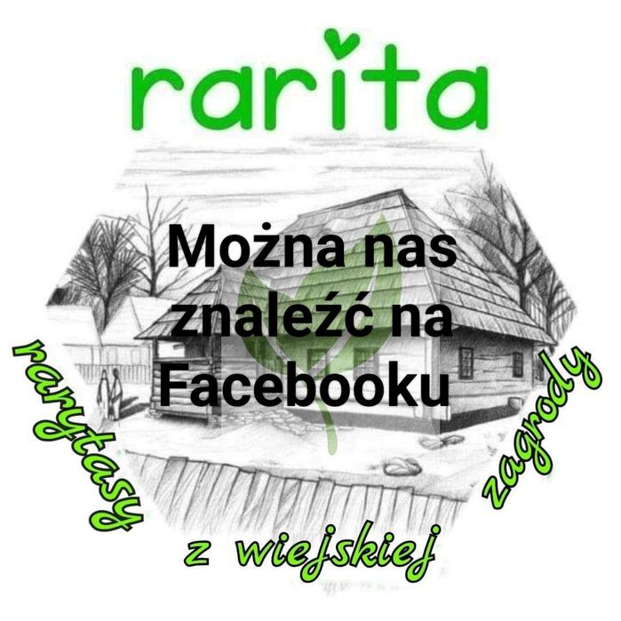 SERY z PRZYPRAWAMI wędzone naturalnym dymem olchowym