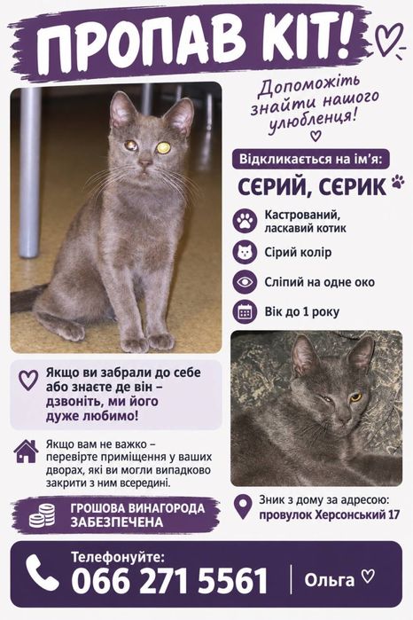 Знайти улюбленця