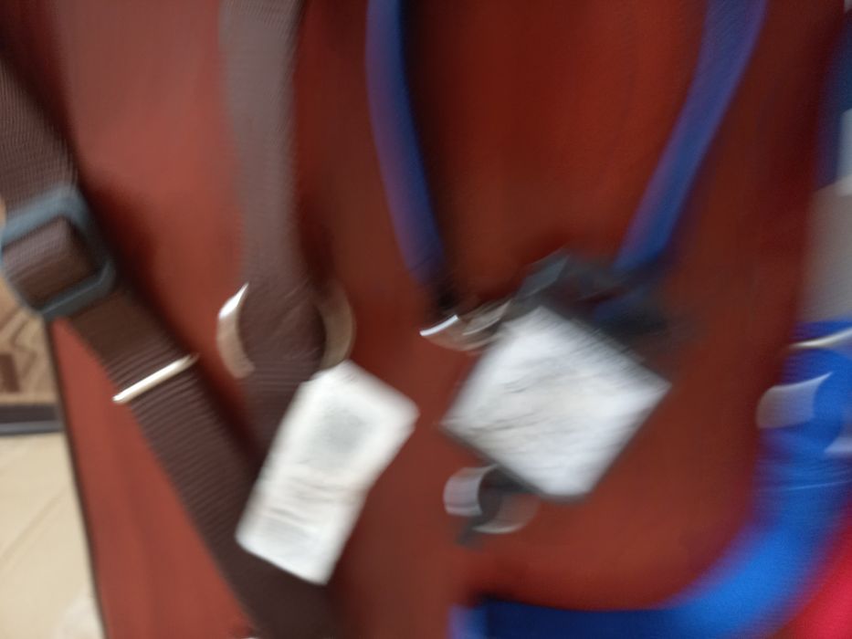 Нашийники для тварин