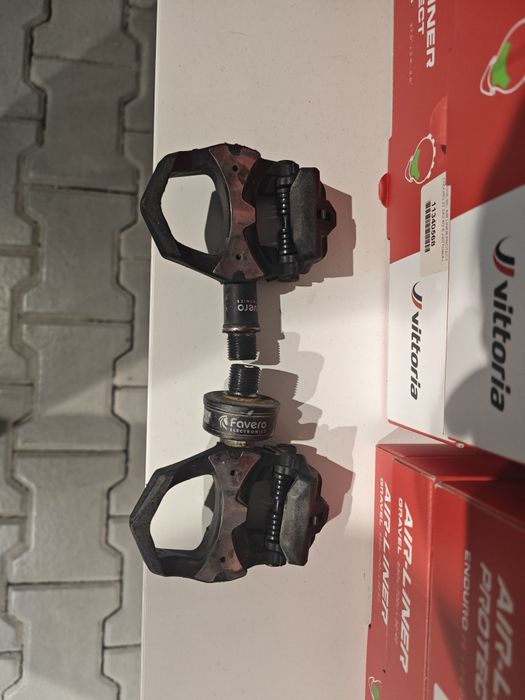 Olympia Leader de 2022