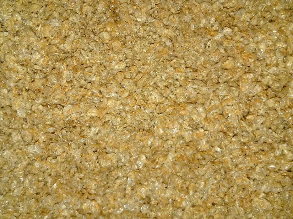 Дафния  сухая от заготовителя 2024 (  1 кг)- продам