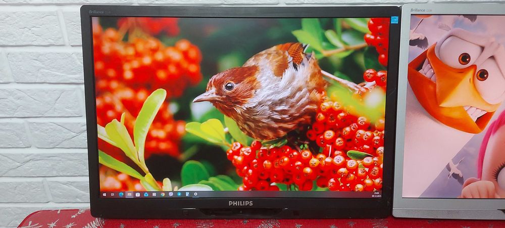 Монітор 22" Philips Brilliance 225B2  22" Philips Brilliance 220B2