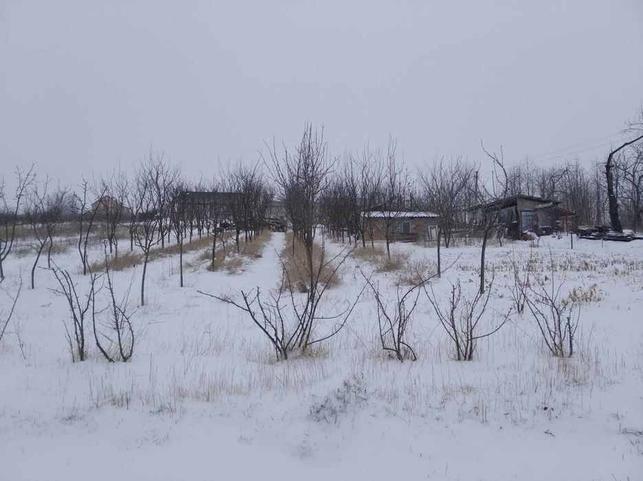 дачний будинок-ділянка= 0.15га. та будинок під магазин або житло.