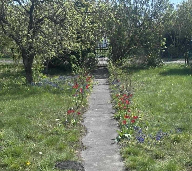 Dzialka na sprzedaz w Grudziadzu (Osiedle Lotnisko) - Widok 4