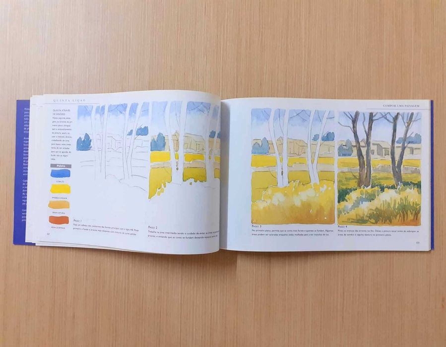 Pintura a Aguarela em Dez Lições (Anne Elsworth)