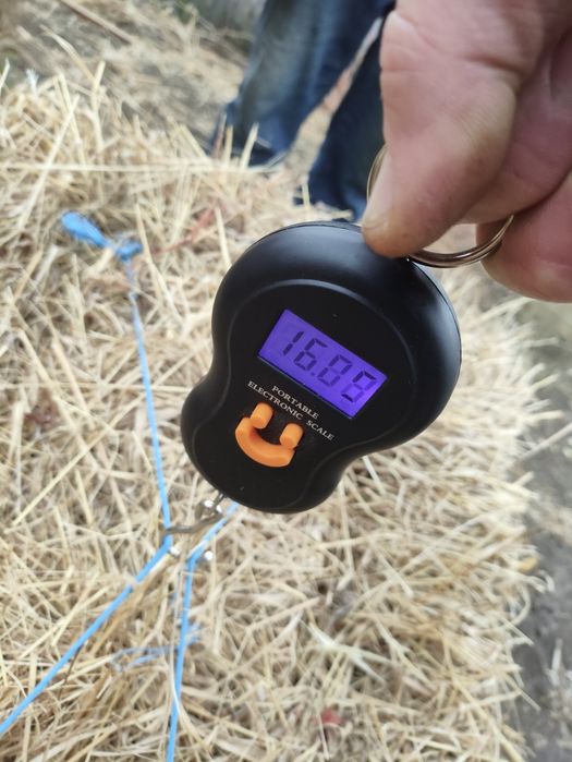 Сіно лугове в тюках